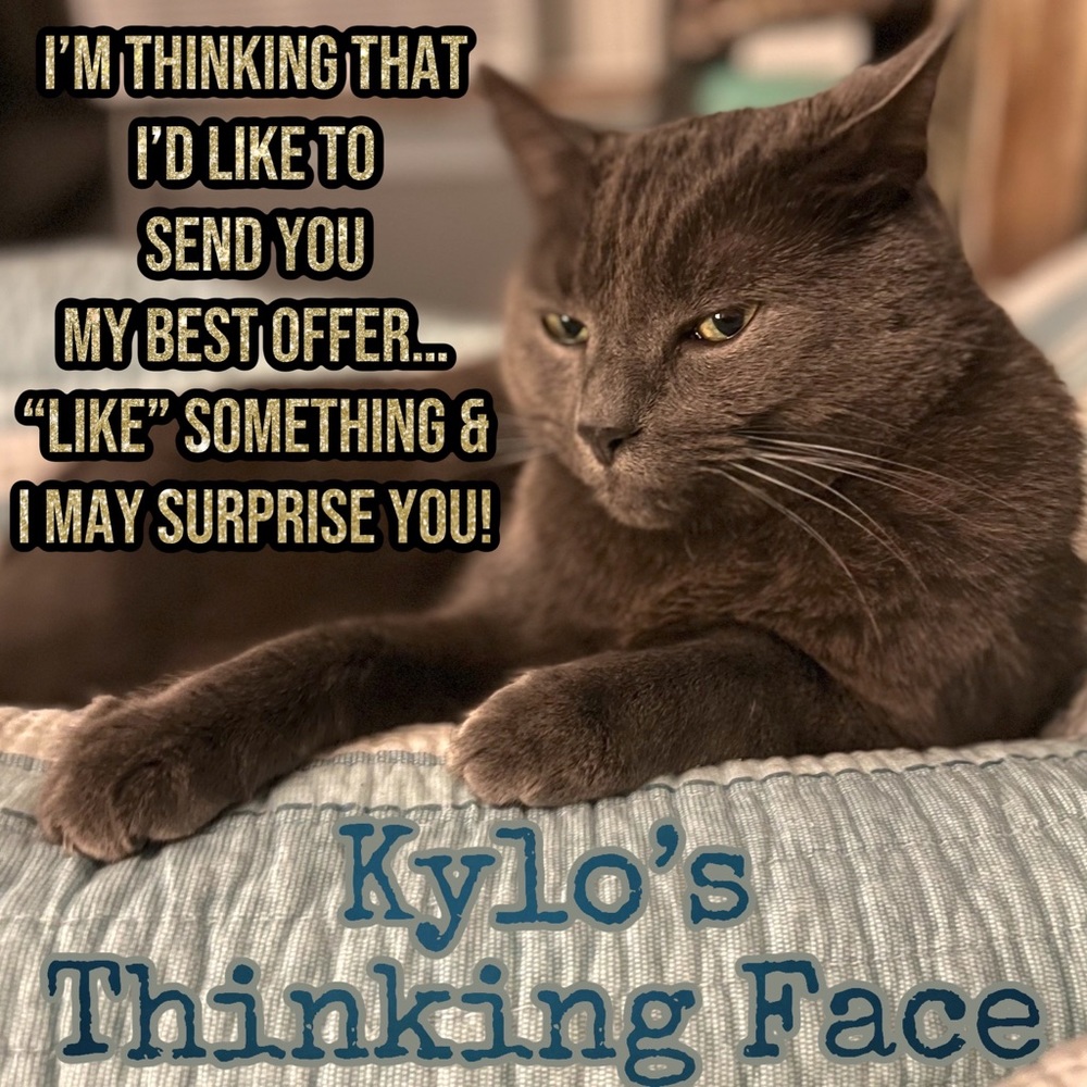 Please Share Kylo Wants To Send You His Best Offer